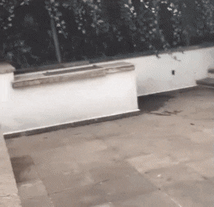 Просто гифки, всякие и разные Просто гифки, всякие и разные