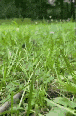 Просто гифки, всякие и разные Просто гифки, всякие и разные