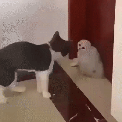 Просто гифки, всякие и разные Просто гифки, всякие и разные