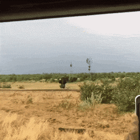 Просто гифки, всякие и разные Просто гифки, всякие и разные