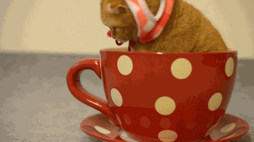 Просто гифки, всякие и&nbsp;разные