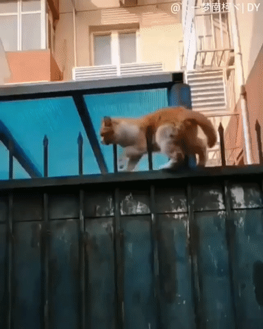 Просто гифки, всякие и&nbsp;разные