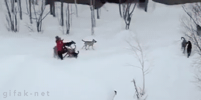 Просто гифки, всякие и&nbsp;разные