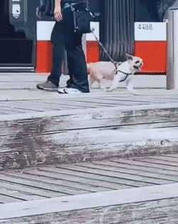 Просто гифки, всякие и&nbsp;разные