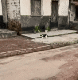 Просто гифки, всякие и&nbsp;разные