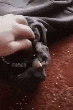 Просто гифки, всякие и&nbsp;разные