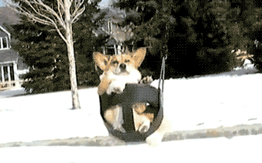 Просто гифки, всякие и&nbsp;разные