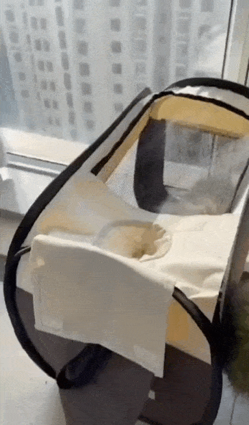 Просто гифки, всякие и&nbsp;разные