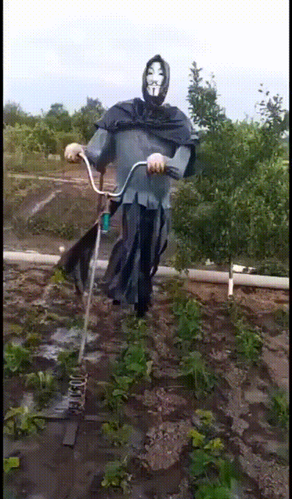 Просто гифки, всякие и&nbsp;разные