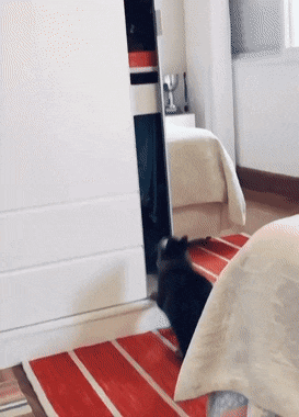 Просто гифки, всякие и&nbsp;разные