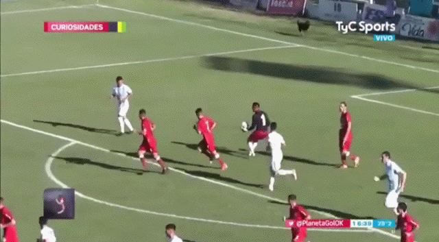 Просто гифки, всякие и&nbsp;разные