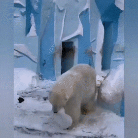 Просто гифки, всякие и&nbsp;разные