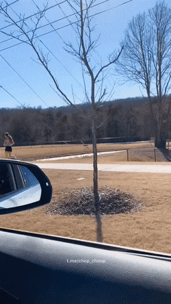 Просто гифки, всякие и&nbsp;разные