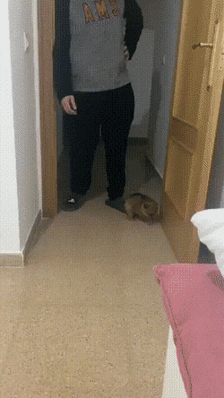 Просто гифки, всякие и&nbsp;разные