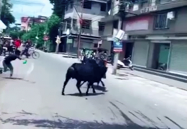 Просто гифки, всякие и разные Просто гифки, всякие и разные