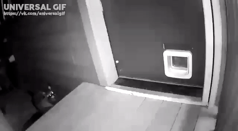 Просто гифки, всякие и разные Просто гифки, всякие и разные