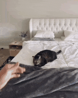 Просто гифки, всякие и разные Просто гифки, всякие и разные