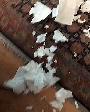 Просто гифки, всякие и разные Просто гифки, всякие и разные