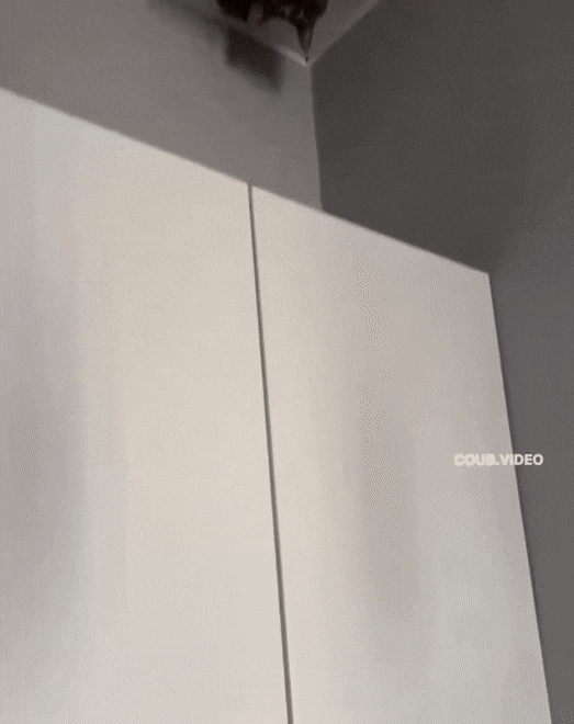 Просто гифки, всякие и разные Просто гифки, всякие и разные