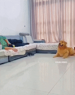 Просто гифки, всякие и разные Просто гифки, всякие и разные