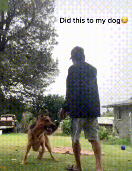 Просто гифки, всякие и разные Просто гифки, всякие и разные