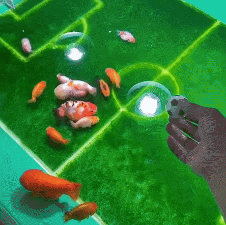 Просто гифки, всякие и&nbsp;разные