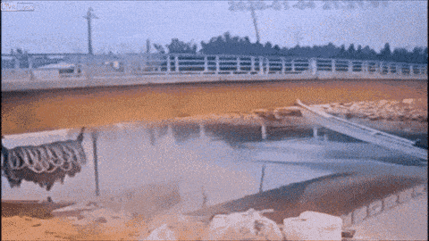 Просто гифки, всякие и&nbsp;разные