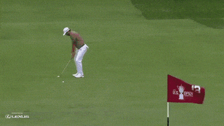 Просто гифки, всякие и&nbsp;разные