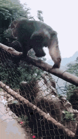 Просто гифки, всякие и&nbsp;разные