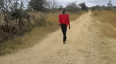 Просто гифки, всякие и&nbsp;разные