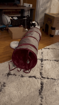 Просто гифки, всякие и&nbsp;разные