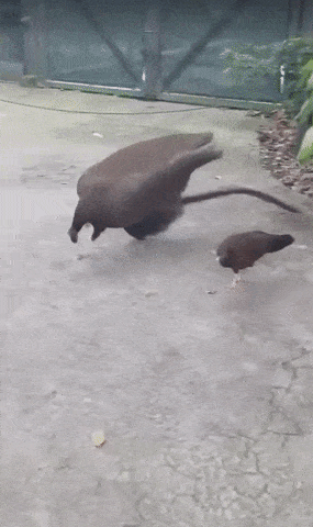 Просто гифки, всякие и&nbsp;разные