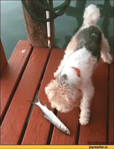 Это ж надо так напугать