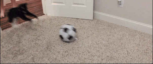 Просто гифки, всякие и&nbsp;разные