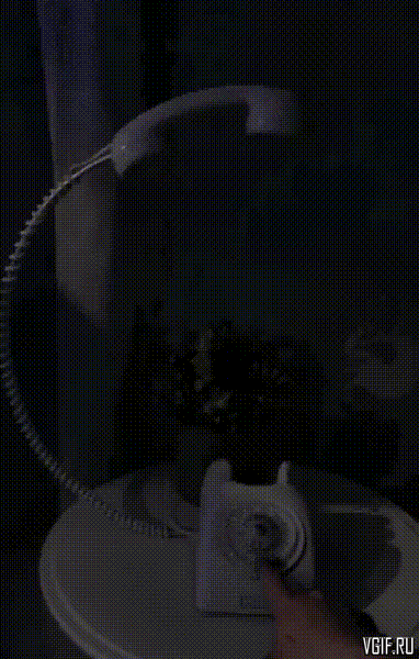 Просто гифки, всякие и&nbsp;разные