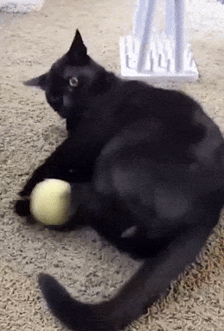 Просто гифки, всякие и&nbsp;разные