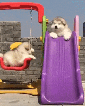 Просто гифки, всякие и&nbsp;разные