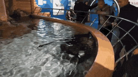 Просто гифки, всякие и&nbsp;разные