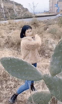 Просто гифки, всякие и&nbsp;разные