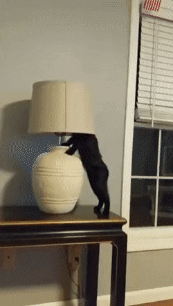 Просто гифки, всякие и&nbsp;разные