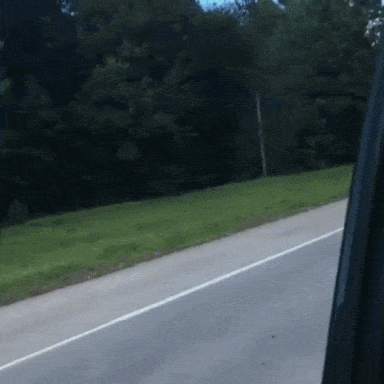 Просто гифки, всякие и&nbsp;разные