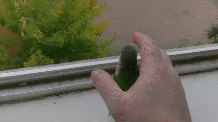 Просто гифки, всякие и&nbsp;разные