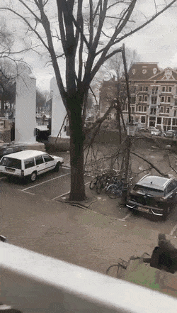 Просто гифки, всякие и&nbsp;разные