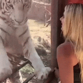 Просто гифки, всякие и&nbsp;разные