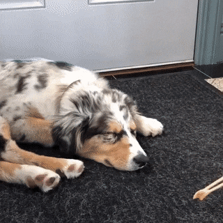 Просто гифки, всякие и&nbsp;разные