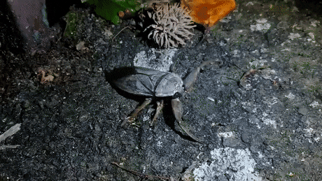 Просто гифки, всякие и&nbsp;разные