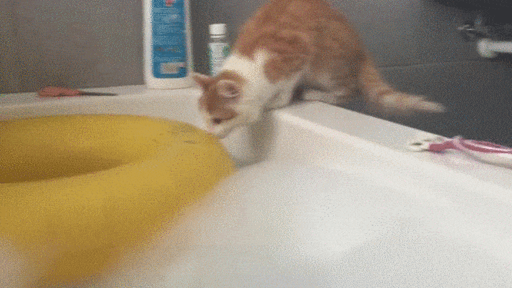 Просто гифки, всякие и&nbsp;разные