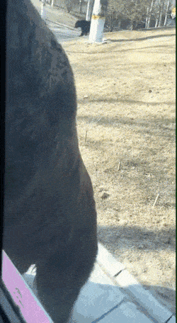 Люди, подождите!