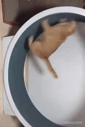 Просто гифки, всякие и&nbsp;разные