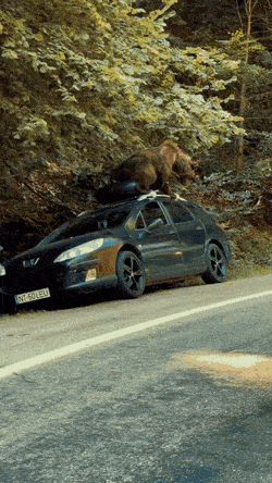 Просто гифки, всякие и&nbsp;разные